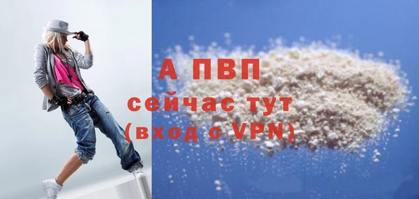 эйфоретик Инта