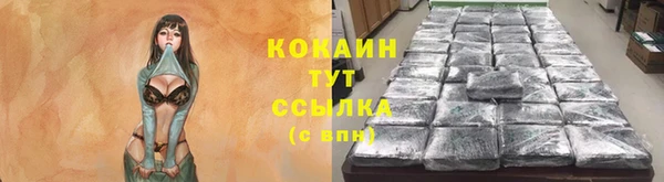 эйфоретик Инта