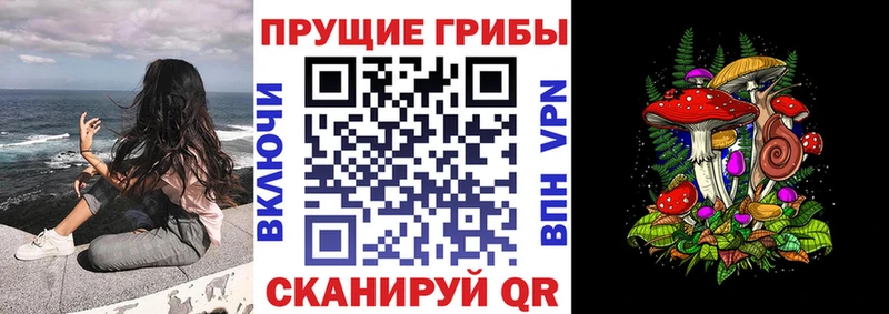 blacksprut рабочий сайт  Краснотурьинск  Псилоцибиновые грибы GOLDEN TEACHER 